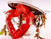 Homard rouge aux algues dans une soupière