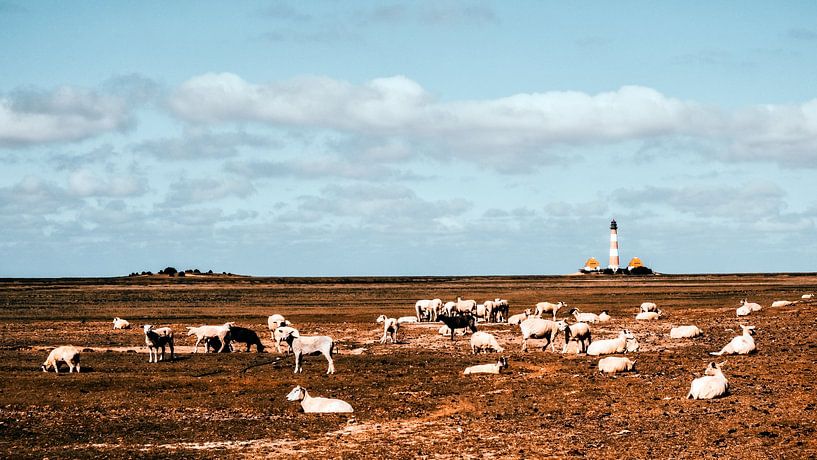 Westerhever Leuchtturm von Heiko Westphalen