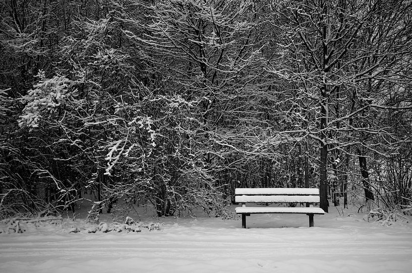 Bankje in een besneeuwd bos par Ruud van der Lubben