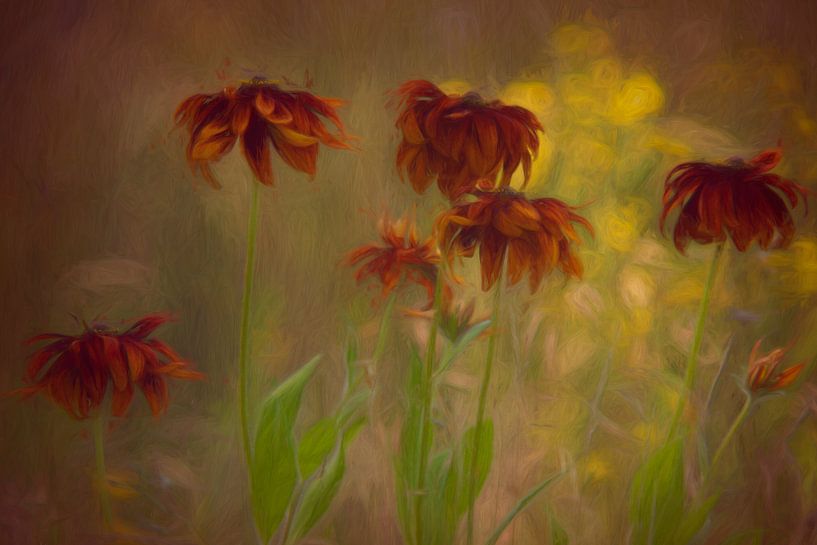 Flowers in the field with beautiful light by Francis Dost