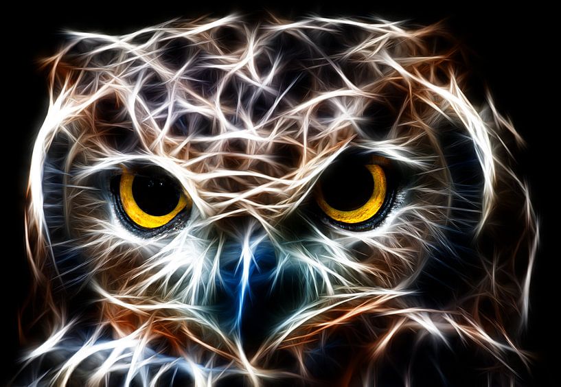 Une chouette artistique par Bert Hooijer