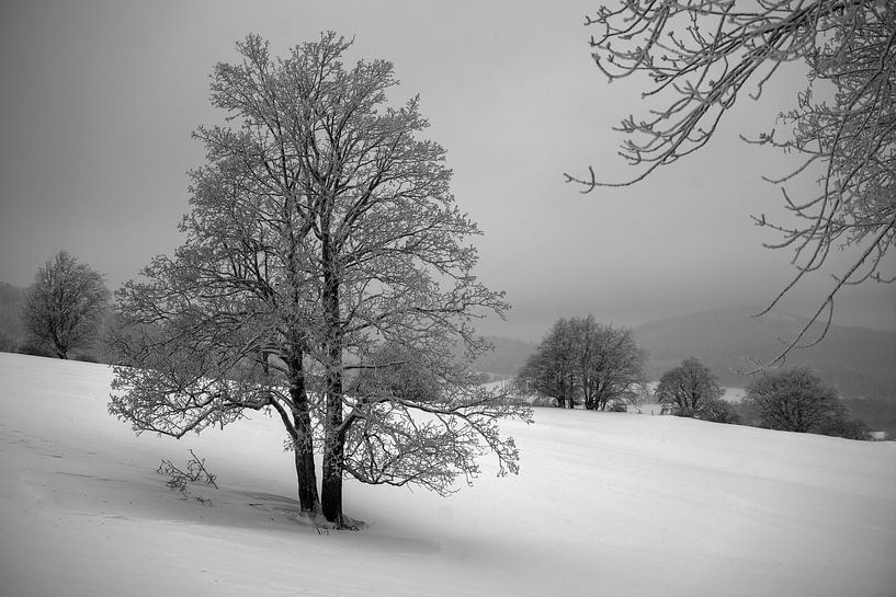 Winterlandschaft in der Rhön von Flatfield