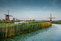 Weltkulturerbe Die Mühlen von Kinderdijk