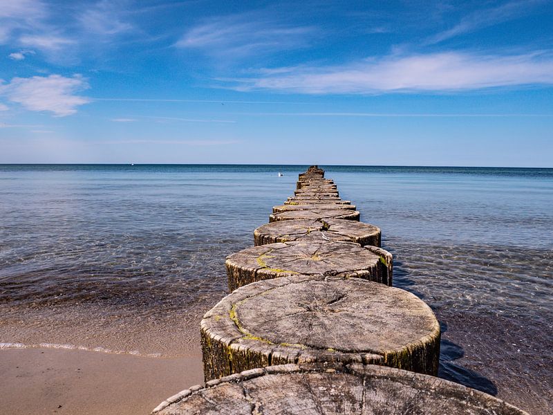 Buhne an der Ostsee in Deutschland von Animaflora PicsStock