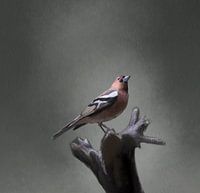 Hoffnung, die im Licht tickt