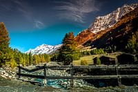 Autumn colors in Kühmatt
