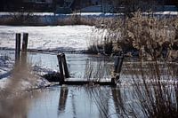 Doucement dans la neige