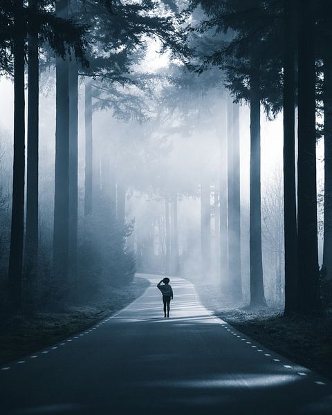 Between light and dark by Dylan Shu Photography