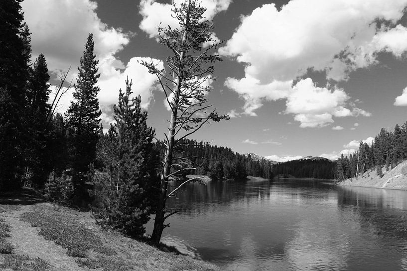 Impression de la rivière Yellowstone par Christiane Schulze