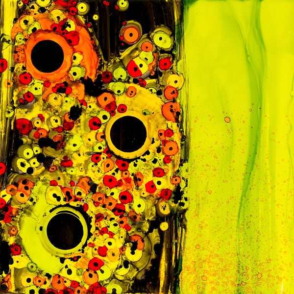 Frühlingsfeld 2 von Agnieszka Zietek