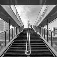 To the top of the page