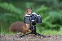 Taking a picture too.