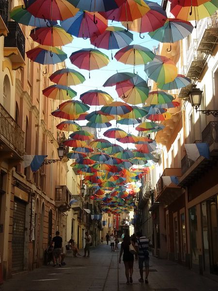 Paraplu von Roos van Kooten