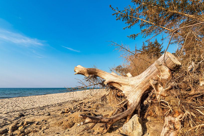 Strand an der Küste der Ostsee bei Graal Müritz von Rico Ködder