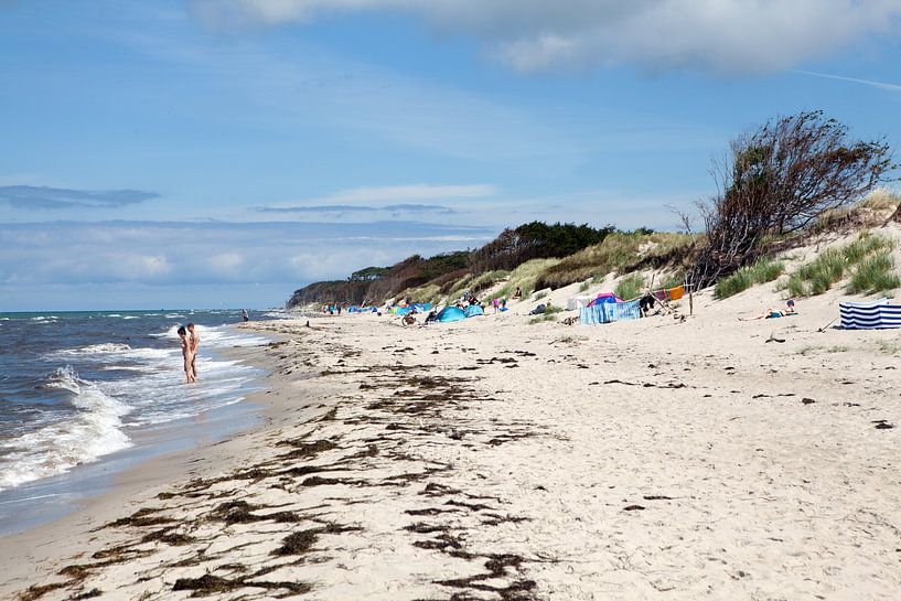 Darß - West Beach par t.ART