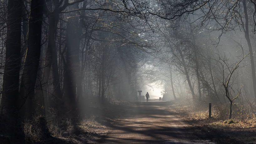 The forest by Julienne van Kempen