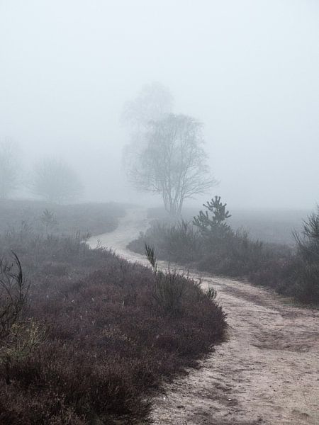 S-curve by Mattijs Diepraam