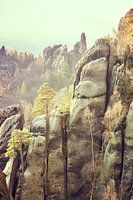 Formation rocheuse en Suisse saxonne