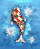 Koi carp with lotus flowers