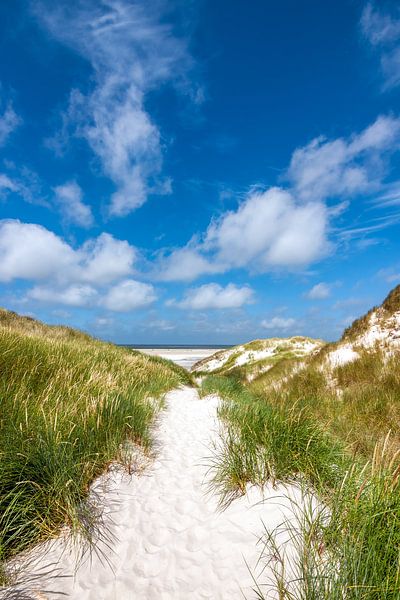 Idyllischer Strandweg auf der Nordseeinsel Amrum von Reiner Würz / RWFotoArt