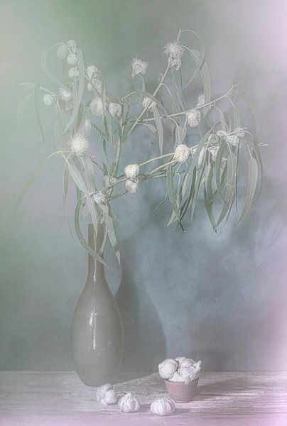 Winter glow. Still life with eucalyptus. by Saskia Dingemans Awarded Photographer