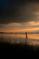 Coucher de soleil sur le Roegwold avec la silhouette d'un Lisdodde