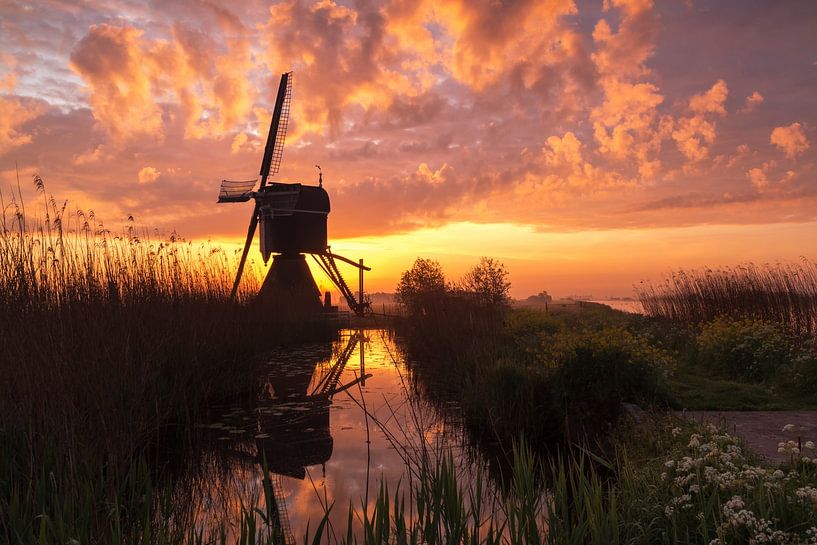 Lever de soleil coloré à Streefkerk par Ilya Korzelius