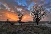 Lever du soleil dans le Bargerveen