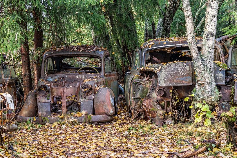 Cimetière de voitures en Suède : des traces de rouille dans la forêt par Gentleman of Decay