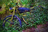 Moteur envahi par le lierre 