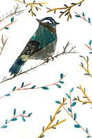 Blauhäher in Zweigen mit blauen Blättern