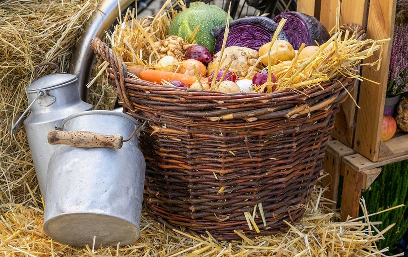autumn decoration with vegetable basket as background by Animaflora PicsStock