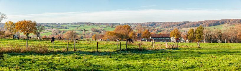 Herbstliche Farben auf den Hügeln Südlimburgs von John Kreukniet