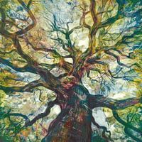 Der Himmel ist die Grenze