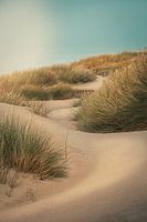 Photo de dune de rêve - Zélande au repos