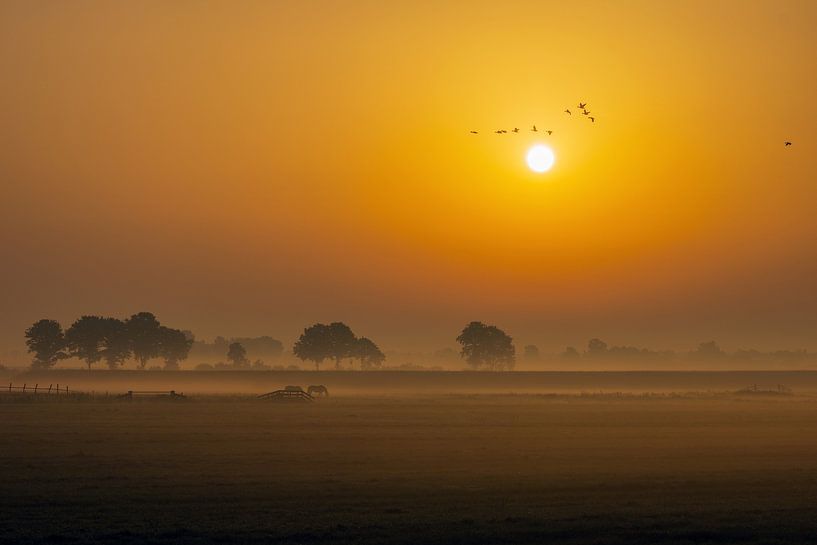 Friesische Landschaft von Niels  de Vries