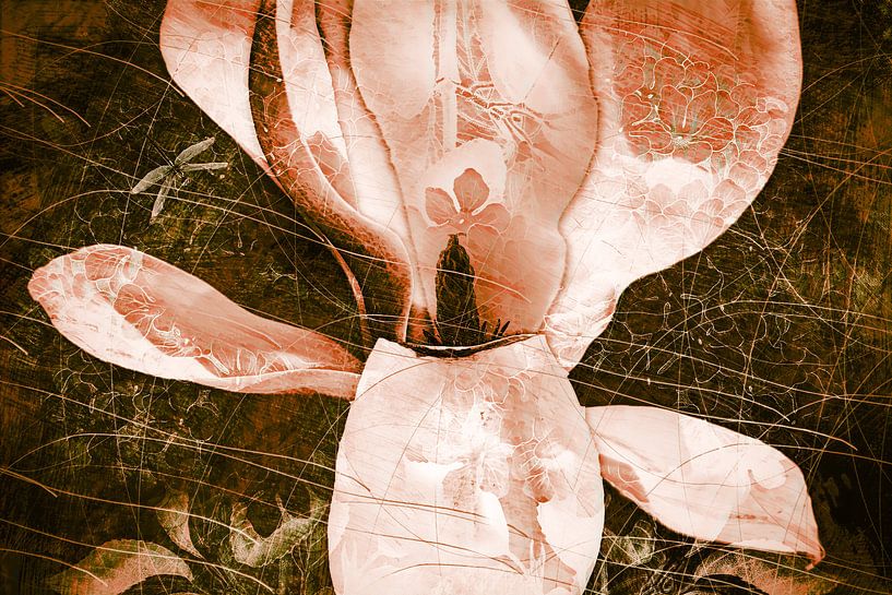 Übersponnene Magnolie mit einer Libelle von Helga Blanke