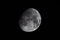 Zunehmender Gibbonmond