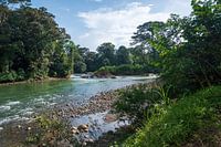 The beautiful Sarapiquí River in the Selva Verde Tropical Rainforest in Costa Rica