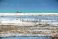 Visser in bootje in Afrika