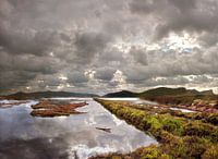 Ibiza Las Salinas Nature Park in autumn