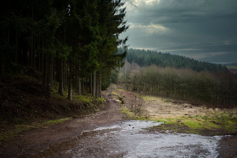 Hill landscape Ardennes by Tuur Wouters