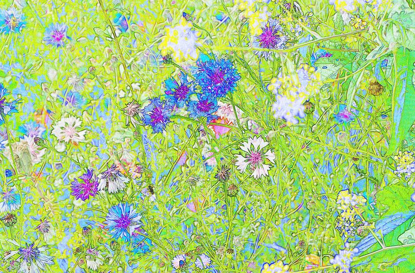 Blumenfeld mit Kornblumen von joyce kool