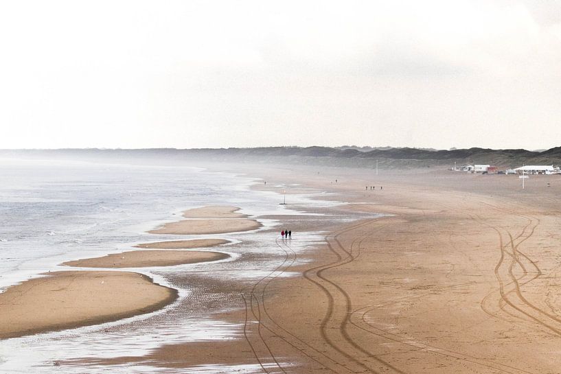 Crapaud noir à ep par Anne Zwagers