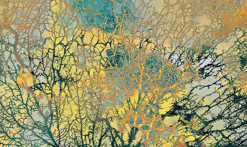 Skandinavischer Wald VIII von Mad Dog Art