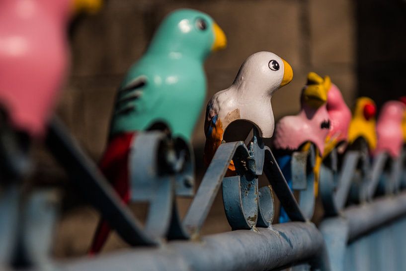 Hek met papegaaien von Jeroen den Ouden