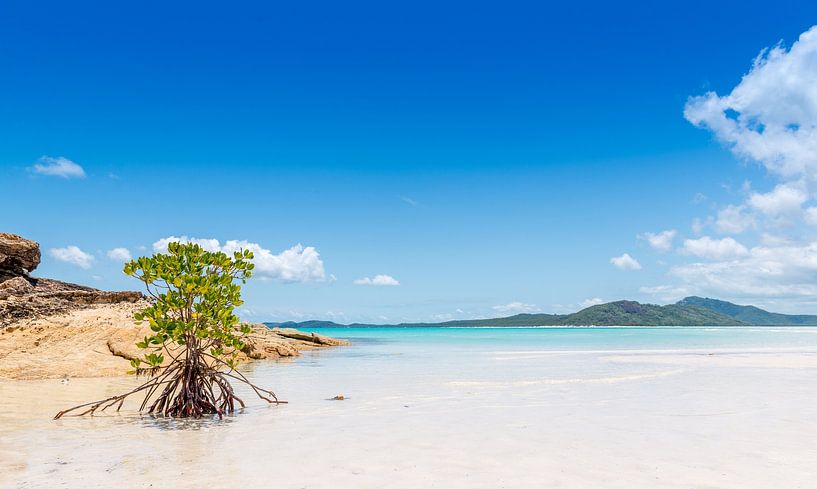 Plage de Whitehaven dans les Whitsundays en Australie par Troy Wegman