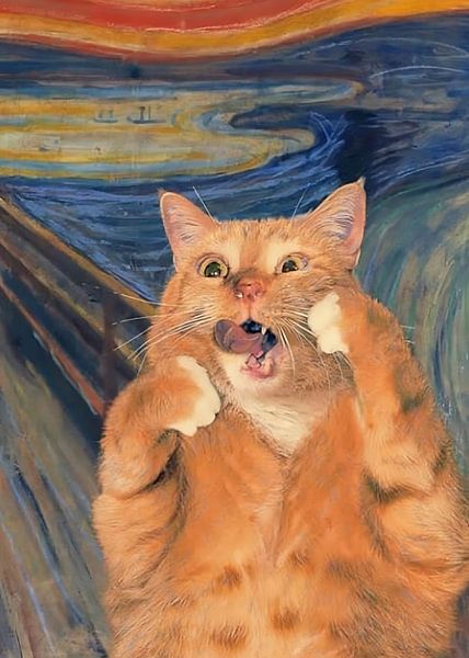 orangefarbene Katzen lustig von rinda ratuliu