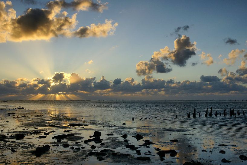 La mer des Wadden par Wim Frank