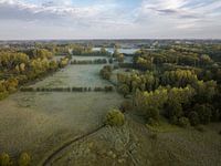 Nietelbroeken (Haspengouw) - Morgengrauen über Nietelbroeken 2